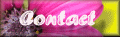 Contact Me